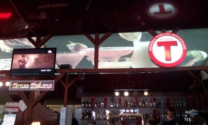 Tavane - material translucid imprimat