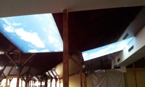 Tavane - material translucid imprimat si material lucios lateral