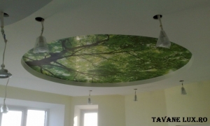 Tavan extemsibil - Translucid