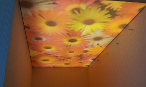 Tavan extemsibil - Translucid