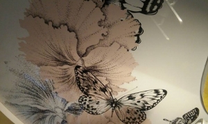 Tavan Extensibil - Material Lucios