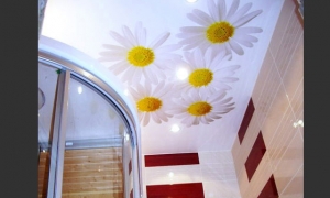 Tavan cu imagine decorat cu Spot-uri