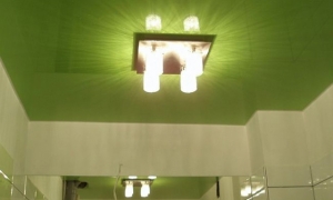 Tavan executat pentru baie