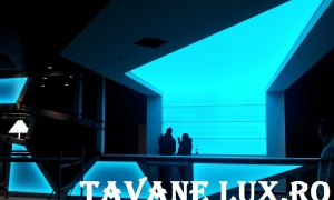 Tavan - Material Translucid